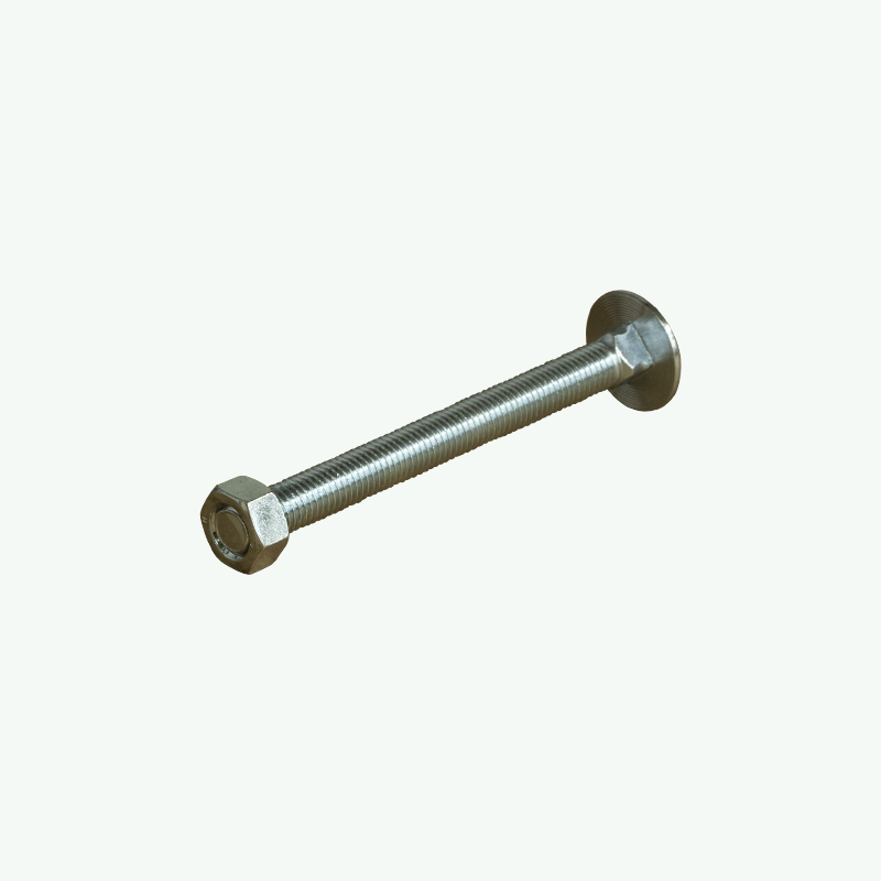 Coach Bolts Type M6 Length 50mm