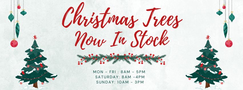 Christmas Trees In Stock Banner