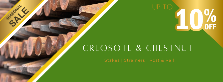 Creo & Chestnut Promo
